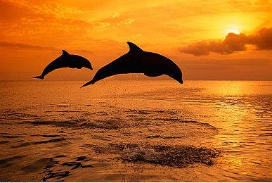 《寂静岭2：重制版》Steam后台添加成就信息 发售日期或将公布