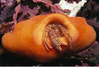 合约到期 《跑跑卡丁车》台服宣布明年1月底停运