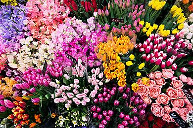 《第一后裔》美女塞琳娜新皮肤 质感非常逼真！